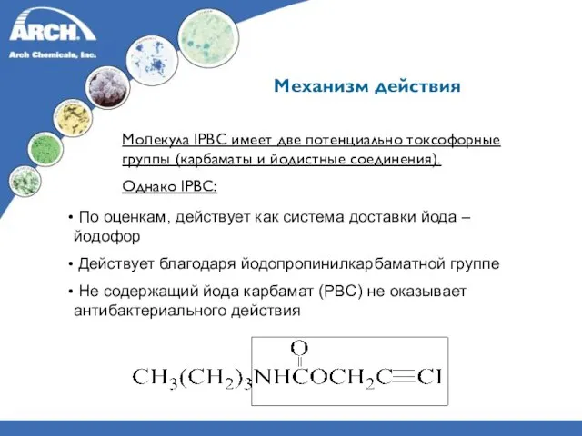 Молекула IPBC имеет две потенциально токсофорные группы (карбаматы и йодистные соединения). Однако