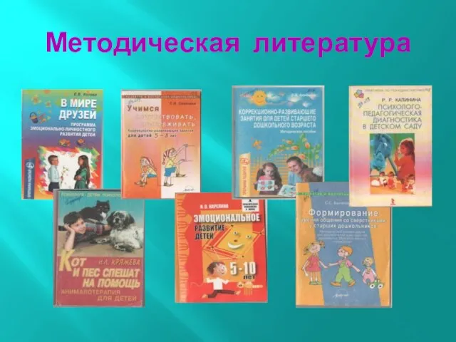 Методическая литература