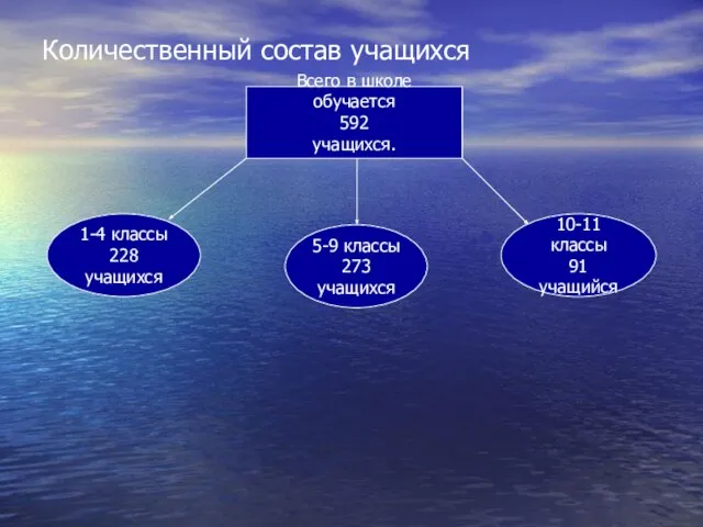 Количественный состав учащихся Всего в школе обучается 592 учащихся. 1-4 классы 228