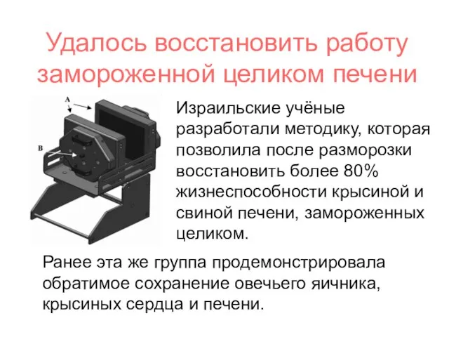 Удалось восстановить работу замороженной целиком печени Израильские учёные разработали методику, которая позволила