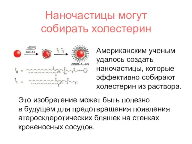 Наночастицы могут собирать холестерин Американским ученым удалось создать наночастицы, которые эффективно собирают