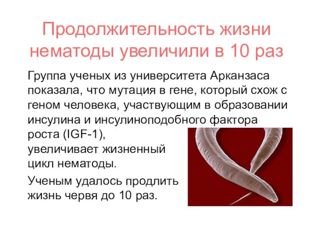 Продолжительность жизни нематоды увеличили в 10 раз Группа ученых из университета Арканзаса