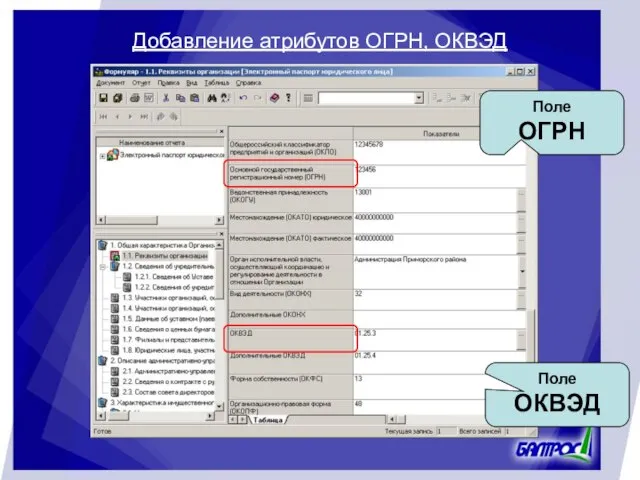 Добавление атрибутов ОГРН, ОКВЭД Поле ОГРН Поле ОКВЭД