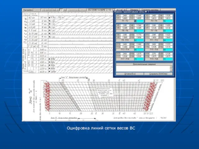 Оцифровка линий сетки весов ВС