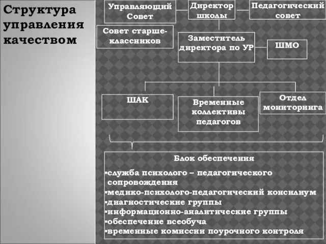 Управляющий Совет Структура управления качеством