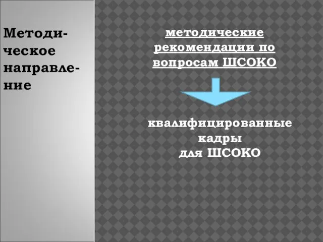 Методи-ческое направле-ние методические рекомендации по вопросам ШСОКО квалифицированные кадры для ШСОКО