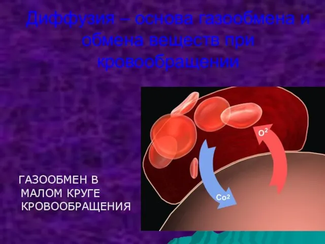 Диффузия – основа газообмена и обмена веществ при кровообращении ГАЗООБМЕН В МАЛОМ КРУГЕ КРОВООБРАЩЕНИЯ