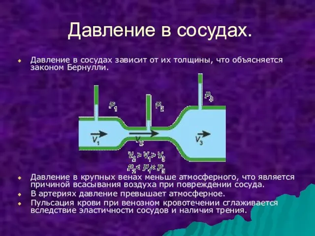 Давление в сосудах. Давление в сосудах зависит от их толщины, что объясняется