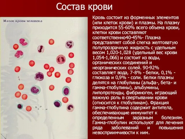 Кровь состоит из форменных элементов (или клеток крови) и плазмы. На плазму