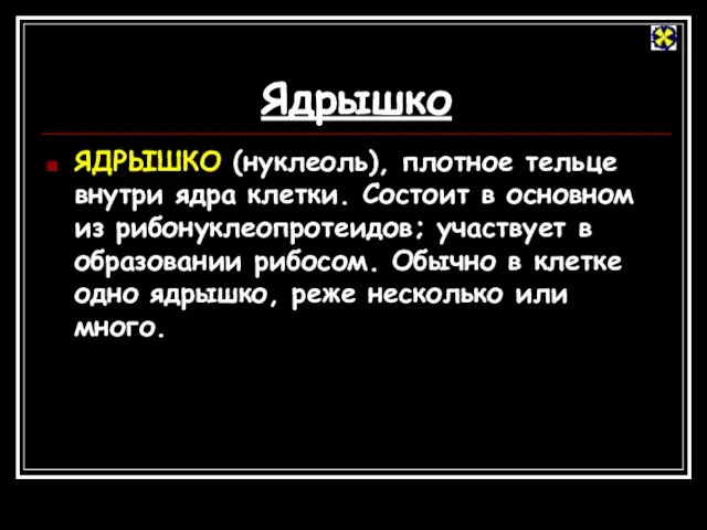 Ядрышко ЯДРЫШКО (нуклеоль), плотное тельце внутри ядра клетки. Состоит в основном из