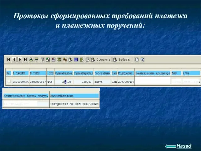 Протокол сформированных требований платежа и платежных поручений: Назад