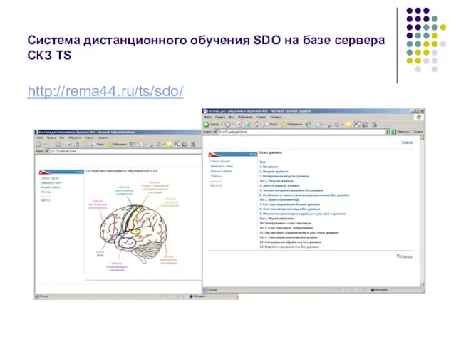 Система дистанционного обучения SDO на базе сервера СКЗ TS http://rema44.ru/ts/sdo/