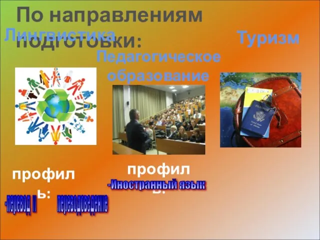 По направлениям подготовки: Лингвистика Туризм профиль: -перевод и переводоведение Педагогическое образование профиль: -Иностранный язык