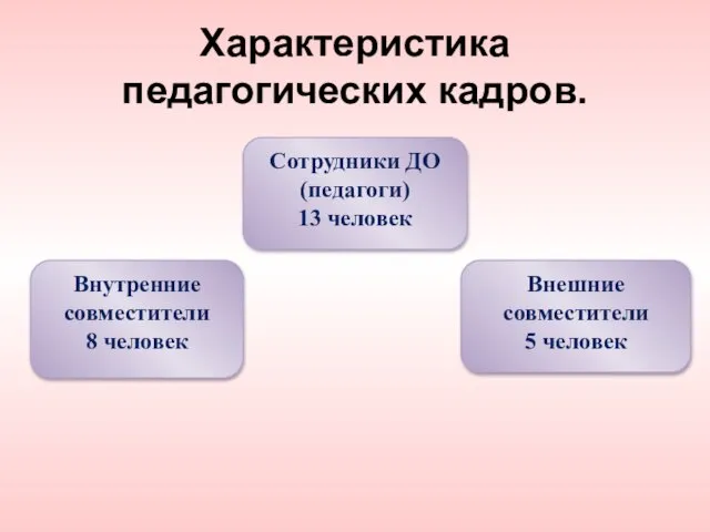 Характеристика педагогических кадров. Внутренние совместители 8 человек Сотрудники ДО (педагоги) 13 человек Внешние совместители 5 человек