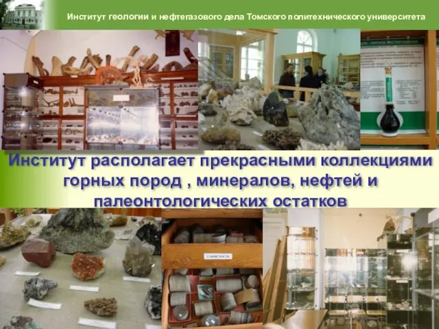 Институт располагает прекрасными коллекциями горных пород , минералов, нефтей и палеонтологических остатков
