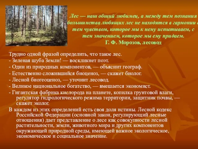 Лес — наш общий любимец, а между тем познания большинства любящих лес