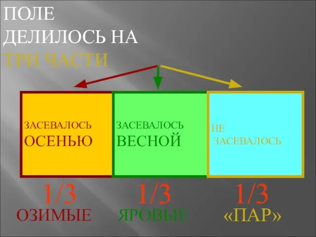 ЗАСЕВАЛОСЬ ОСЕНЬЮ ЗАСЕВАЛОСЬ ВЕСНОЙ НЕ ЗАСЕВАЛОСЬ ПОЛЕ ДЕЛИЛОСЬ НА ТРИ ЧАСТИ 1/3