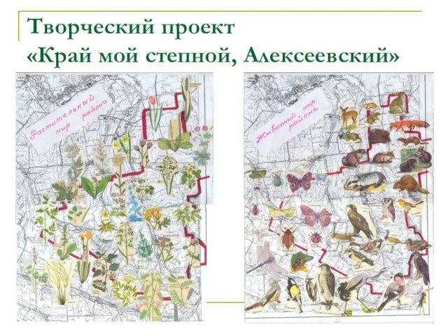 Творческий проект «Край мой степной, Алексеевский»