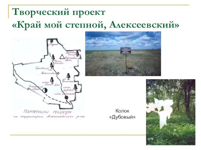 Творческий проект «Край мой степной, Алексеевский» Колок «Дубовый»