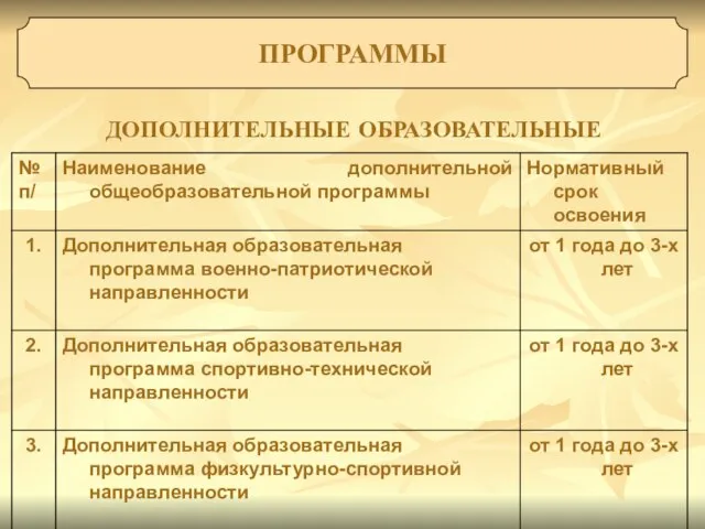 ПРОГРАММЫ ДОПОЛНИТЕЛЬНЫЕ ОБРАЗОВАТЕЛЬНЫЕ