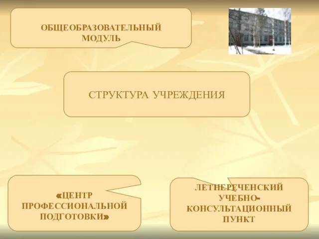 ОБЩЕОБРАЗОВАТЕЛЬНЫЙ МОДУЛЬ «ЦЕНТР ПРОФЕССИОНАЛЬНОЙ ПОДГОТОВКИ» ЛЕТНЕРЕЧЕНСКИЙ УЧЕБНО- КОНСУЛЬТАЦИОННЫЙ ПУНКТ СТРУКТУРА УЧРЕЖДЕНИЯ