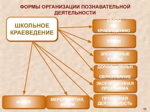 ФОРМЫ ОРГАНИЗАЦИИ ПОЗНАВАТЕЛЬНОЙ ДЕЯТЕЛЬНОСТИ ШКОЛЬНОЕ КРАЕВЕДЕНИЕ УРОКИ ПО КРАЕВЕДЕНИЮ УРОКИ ЭЛЕКТИВНЫЕ КУРСЫ