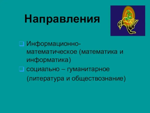 Направления Информационно-математическое (математика и информатика) социально – гуманитарное (литература и обществознание)