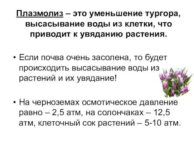 Плазмолиз – это уменьшение тургора, высасывание воды из клетки, что приводит к