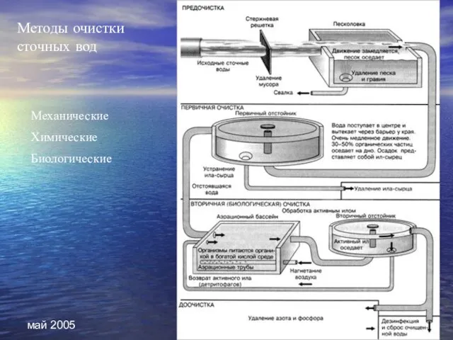 май 2005 Методы очистки сточных вод Механические Химические Биологические