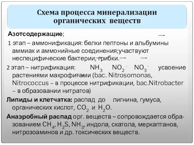 Азотсодержащие; 1 этап – аммонификация: белки пептоны и альбумины аммиак и аммонийные