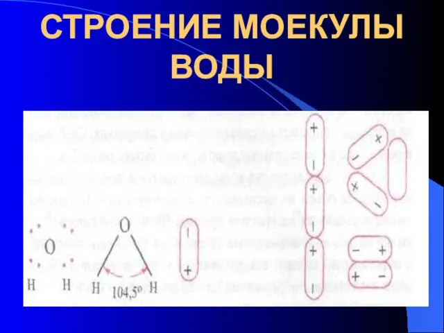 СТРОЕНИЕ МОЕКУЛЫ ВОДЫ