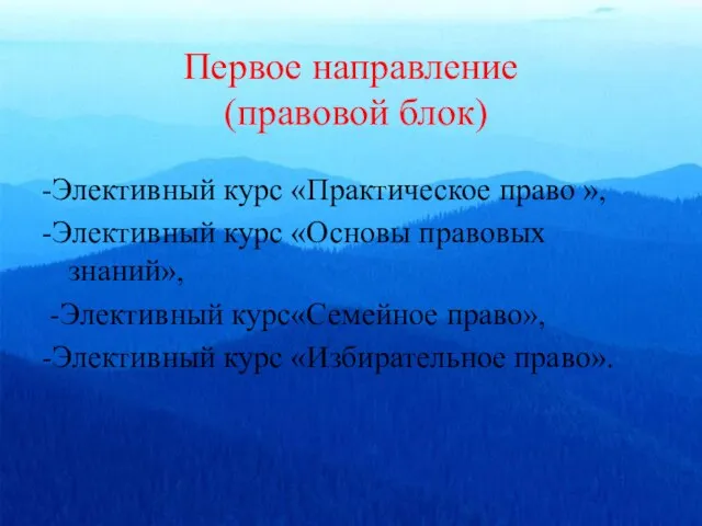 Первое направление (правовой блок) -Элективный курс «Практическое право », -Элективный курс «Основы