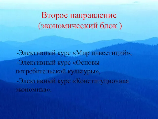 Второе направление (экономический блок ) -Элективный курс «Мир инвестиций», -Элективный курс «Основы