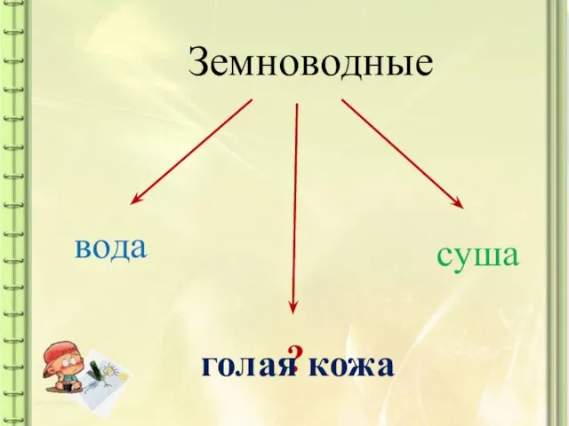 Земноводные вода cуша ? голая кожа