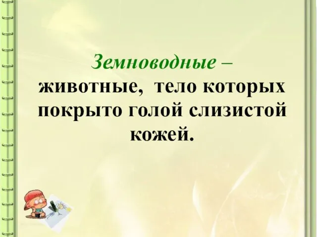 Земноводные – животные, тело которых покрыто голой слизистой кожей.