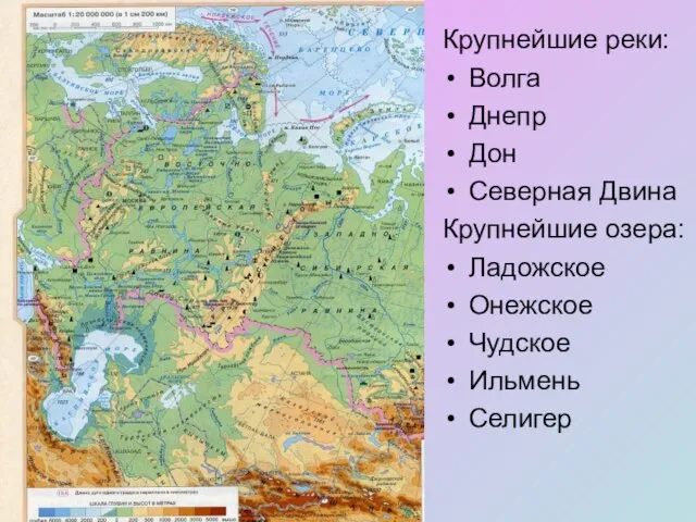 Крупнейшие реки: Волга Днепр Дон Северная Двина Крупнейшие озера: Ладожское Онежское Чудское Ильмень Селигер