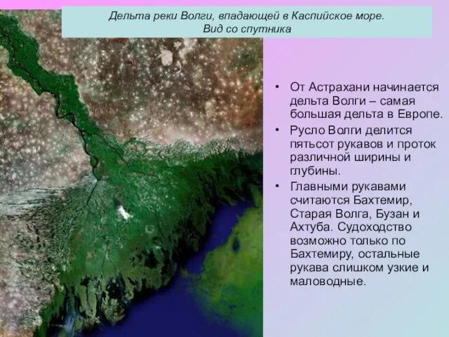 От Астрахани начинается дельта Волги – самая большая дельта в Европе. Русло