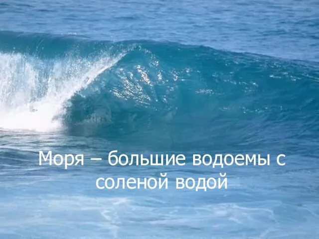 Моря – большие водоемы с соленой водой