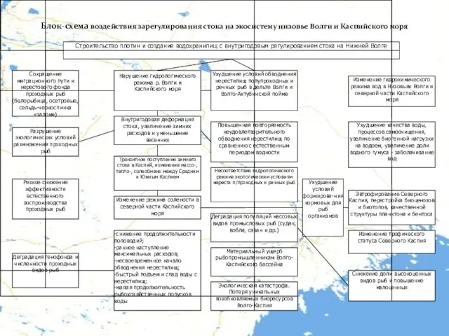 Блок-схема воздействия зарегулирования стока на экосистему низовье Волги и Каспийского моря