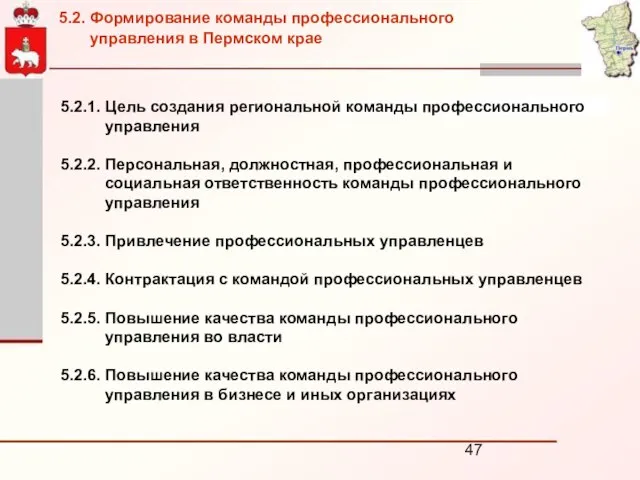 5.2.1. Цель создания региональной команды профессионального управления 5.2.2. Персональная, должностная, профессиональная и