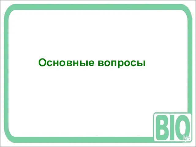 Основные вопросы