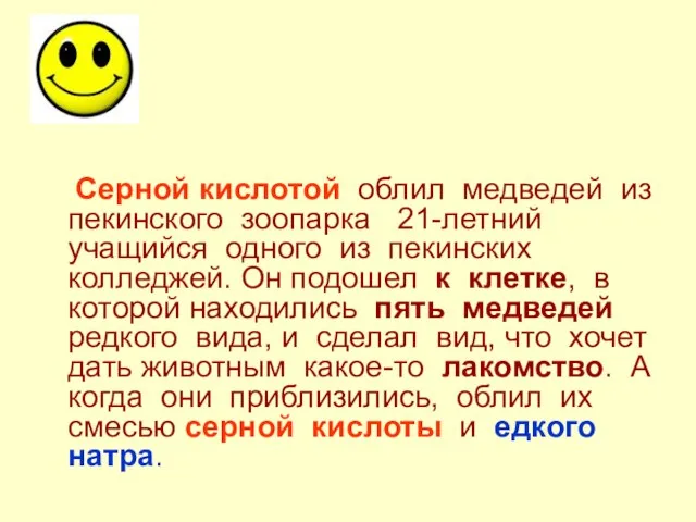 Серной кислотой облил медведей из пекинского зоопарка 21-летний учащийся одного из пекинских