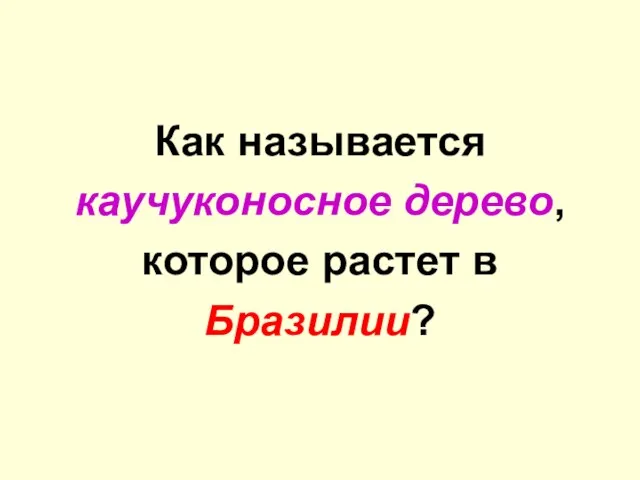 Как называется каучуконосное дерево, которое растет в Бразилии?