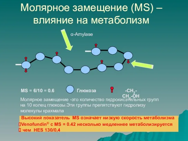 Молярное замещение (MS) – влияние на метаболизм Глюкоза -CH2- CH2-OH MS =