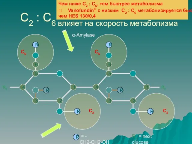 C2 : C6 влияет на скорость метаболизма R2 = next glucose 5