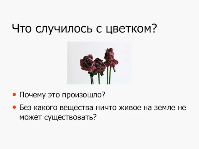 Что случилось с цветком? Почему это произошло? Без какого вещества ничто живое