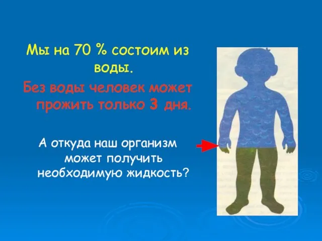 Мы на 70 % состоим из воды. Без воды человек может прожить