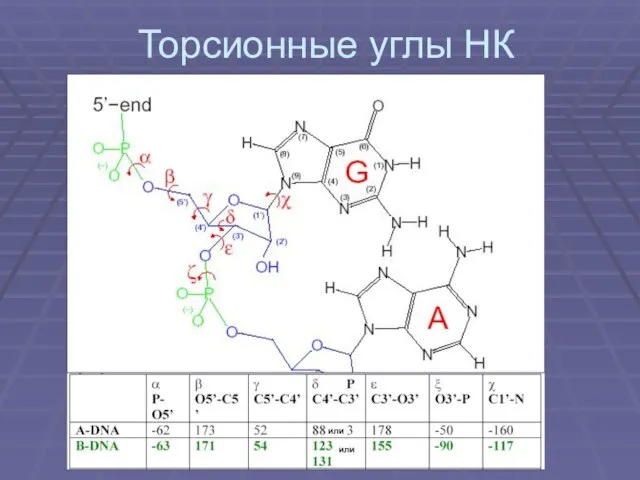 Торсионные углы НК или или