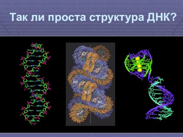 Так ли проста структура ДНК?