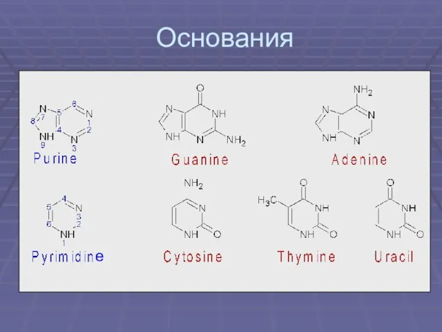 Основания e